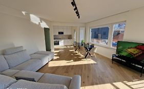 Luxury Renovated 3 Rooms Apartment
